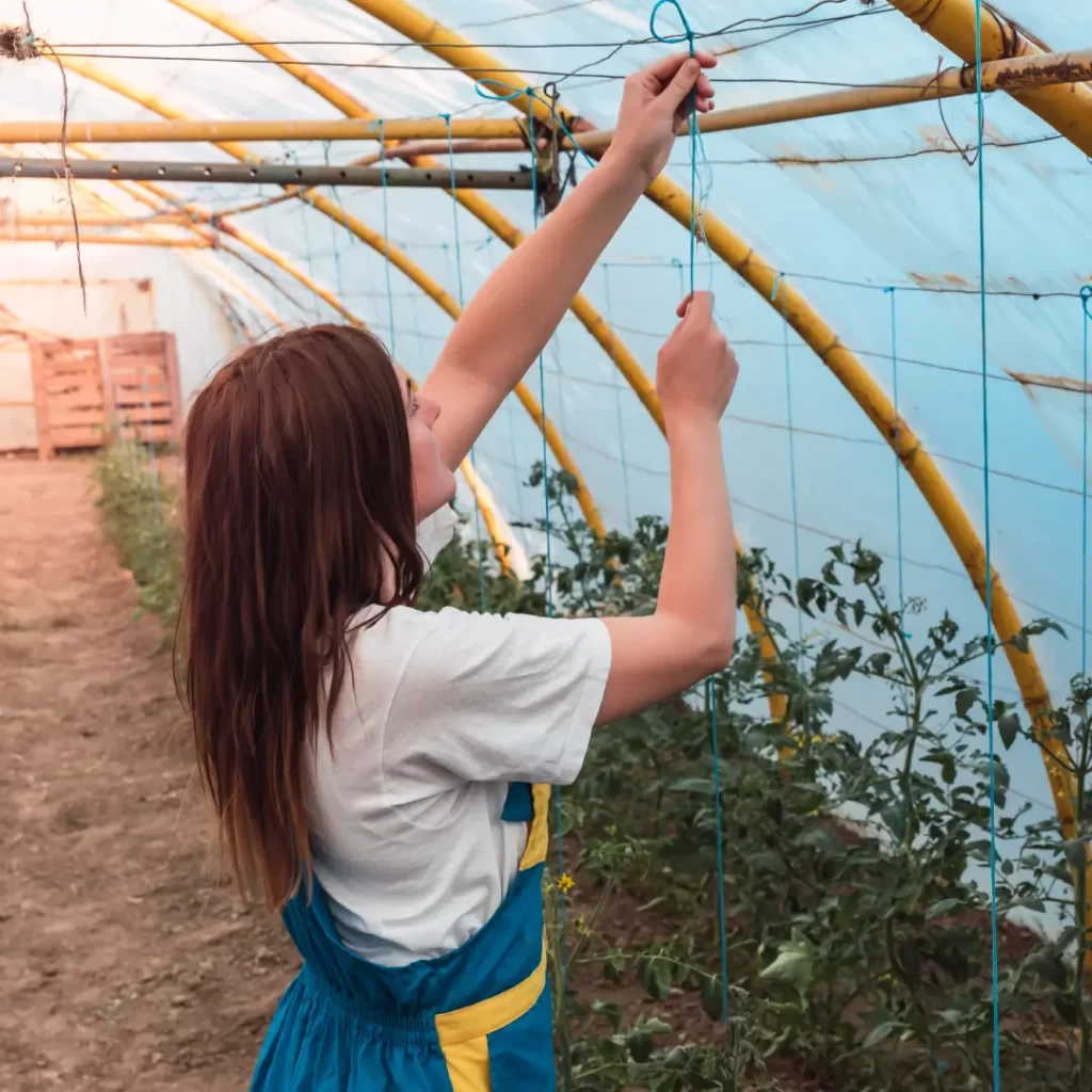 a person in a greenhouse